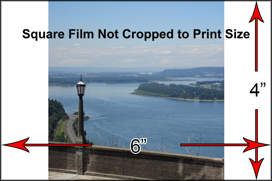 Not cropped - white borders on sides